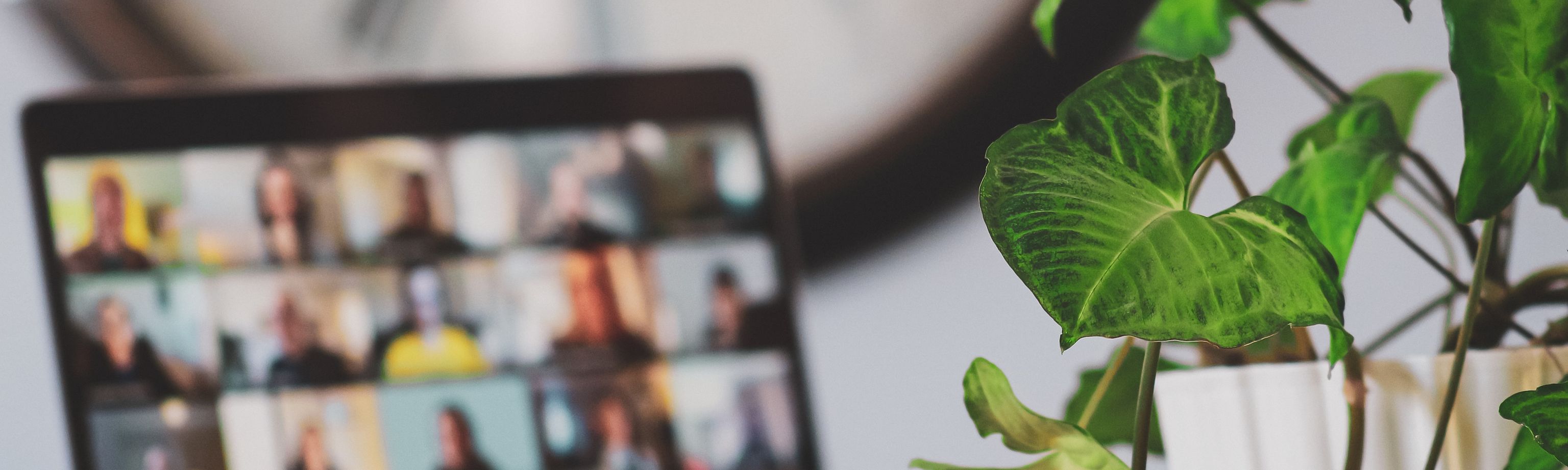 UNSERE WEBINARE