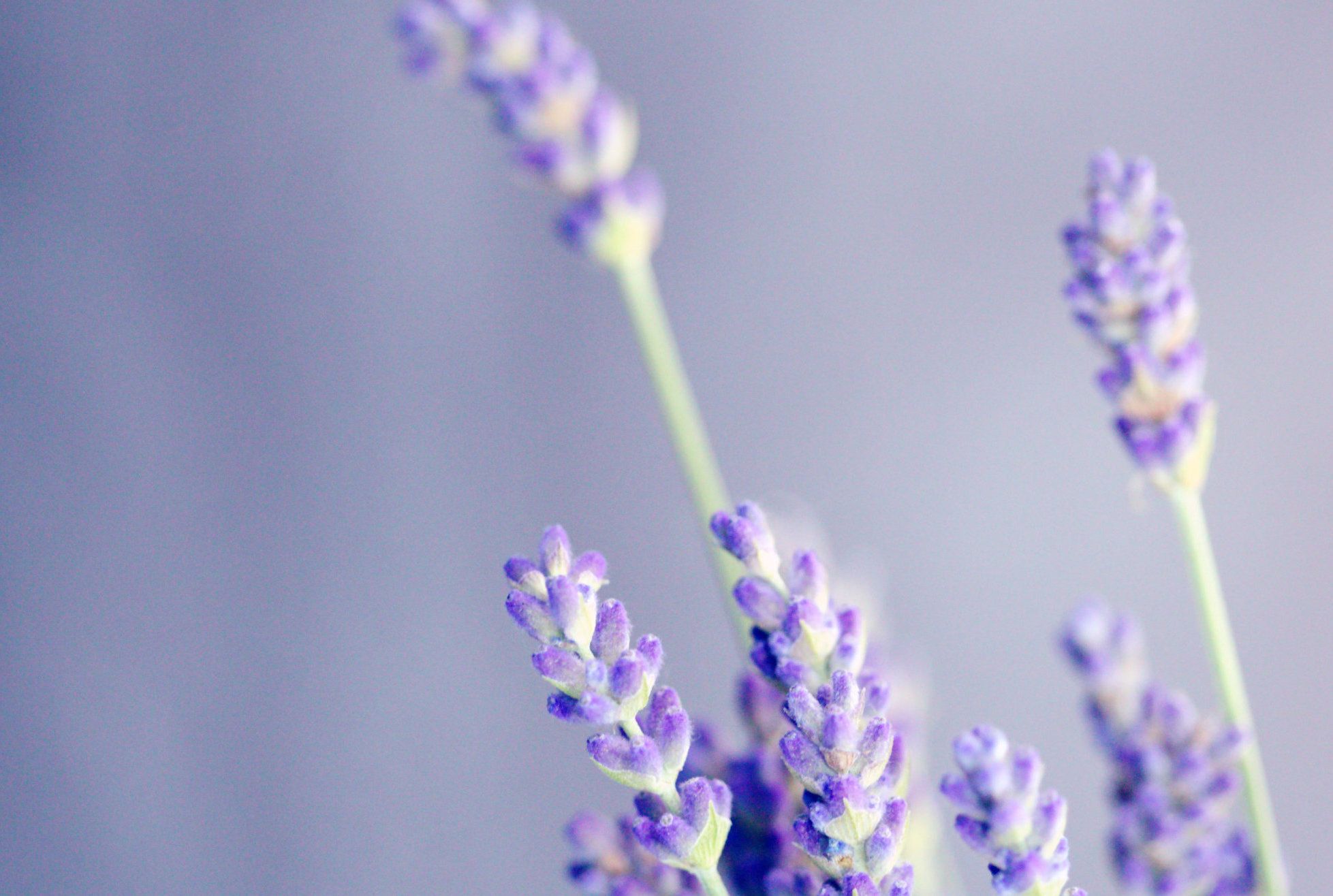 Supporting with Fragrance