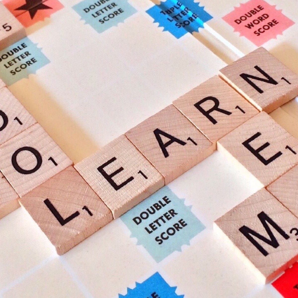 Apprenticeship Career Puzzle