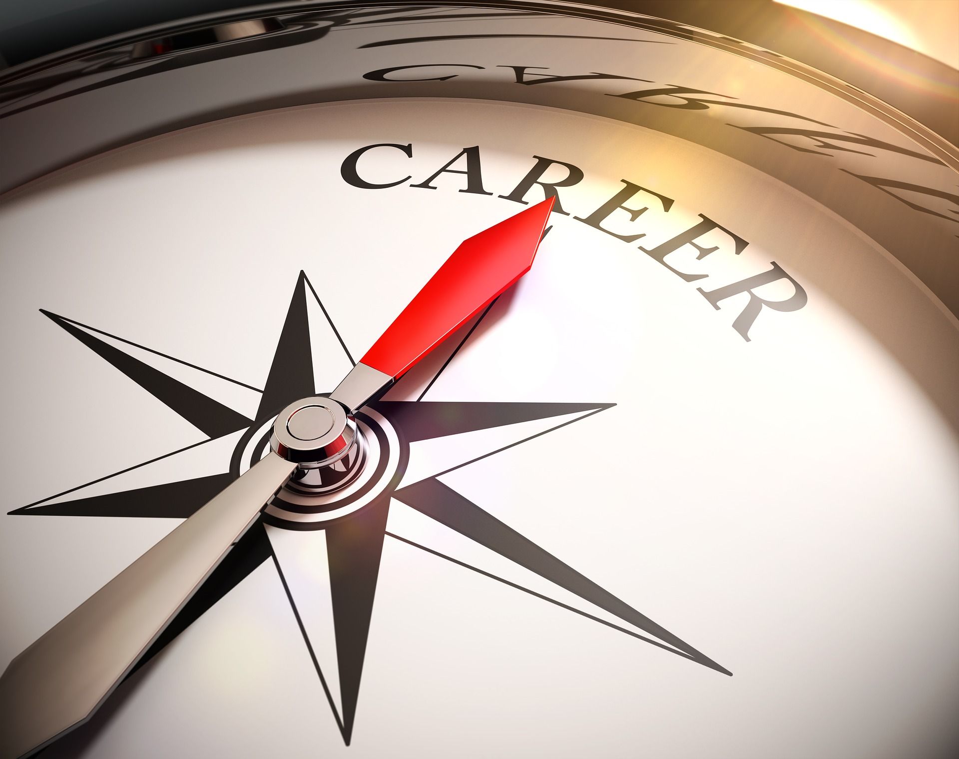 Top im Job - Persönliche Stärken und Fähigkeiten für die berufliche (Neu-) Orientierung erkennen und präsentieren