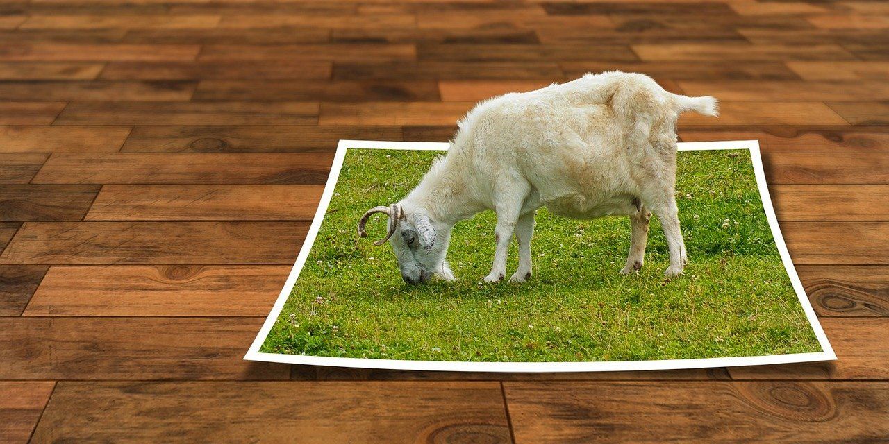Webinar: Bildbearbeitung mit Gimp - Fortsetzung